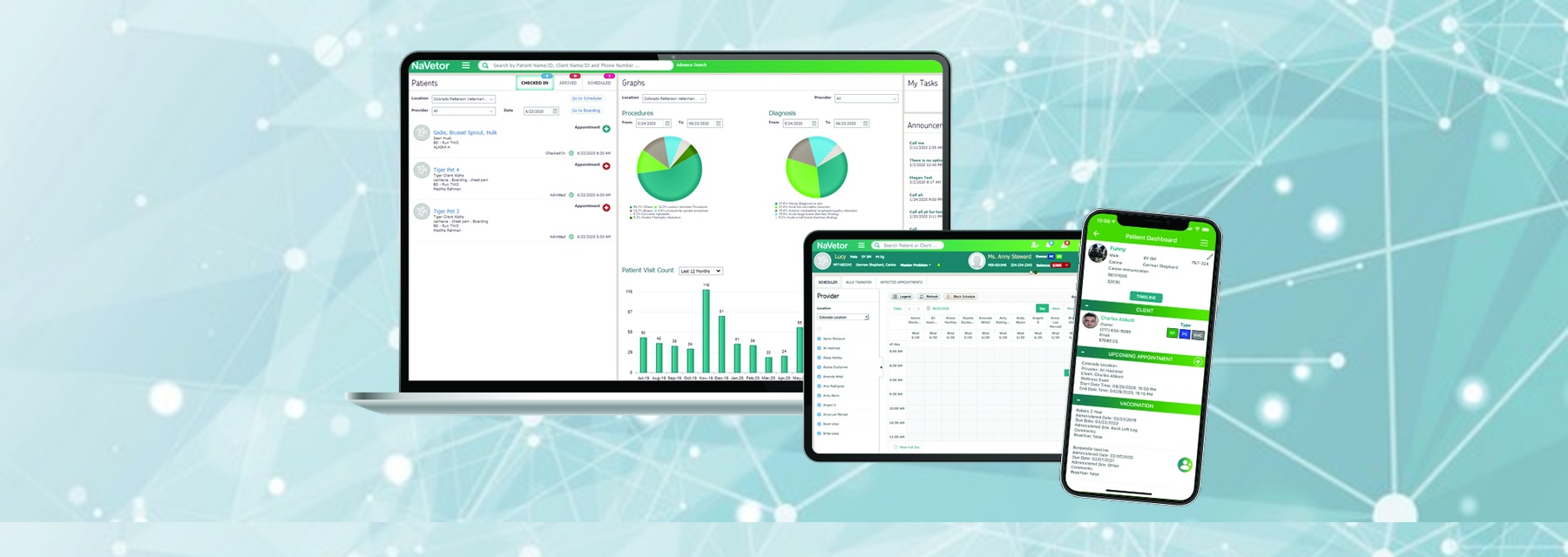 NaVetor software running on a laptop, tablet, and phone side by side