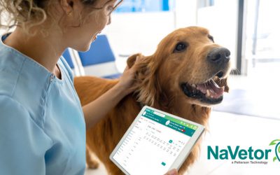 Which Costs Less for a Veterinary Practice – Server or Cloud Software?