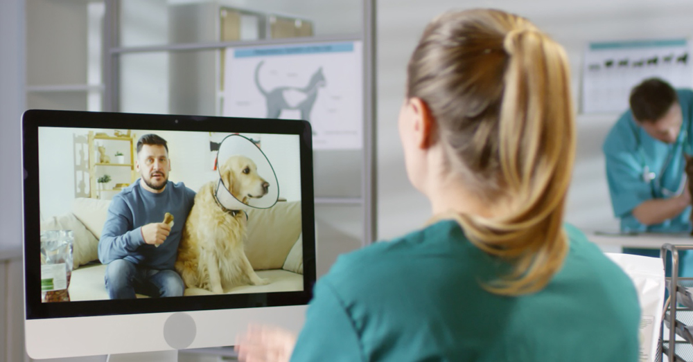 Vet Hero Communication Software